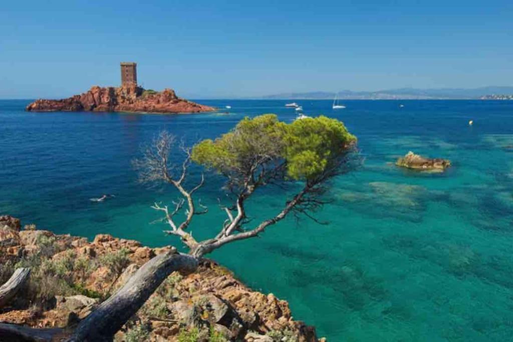 Mobilhome A Frejus A 15 Minute De La Mer Sur Terrain Independant エクステリア 写真
